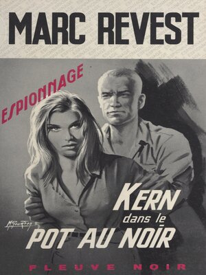 cover image of Kern dans le pot au noir